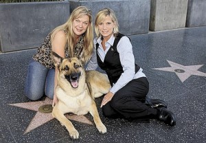 RIN TIN TIN The Lineage and Legacy